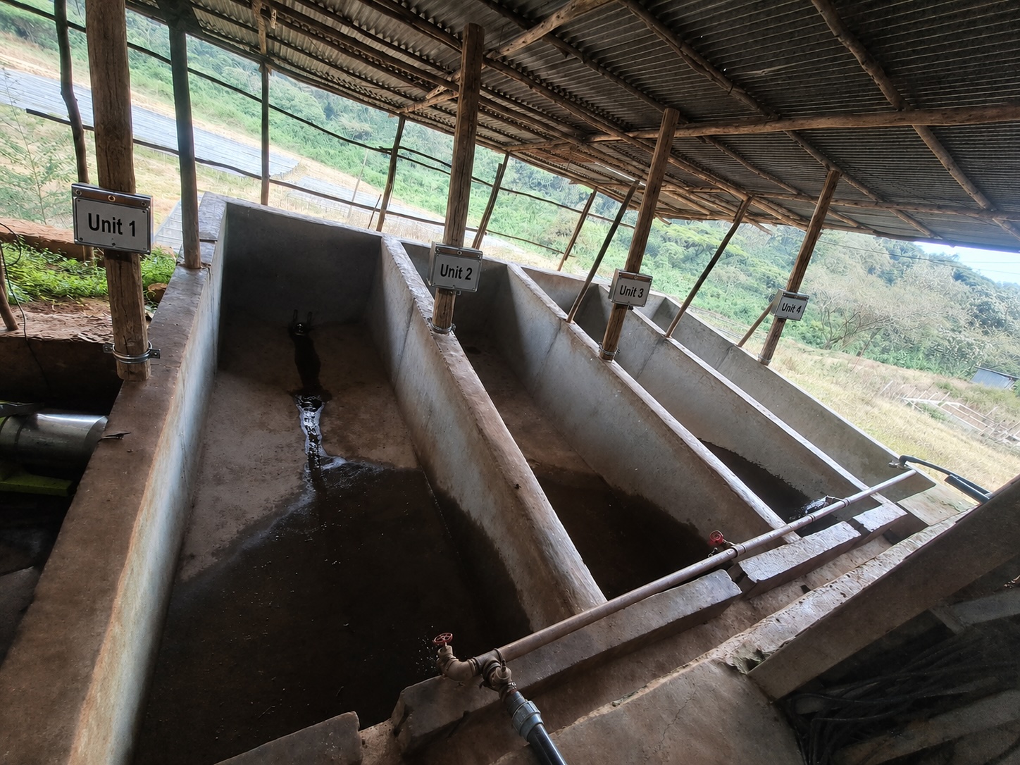 Separate numbered fermentation tanks, Unit 1 to Unit 4, at a washing station